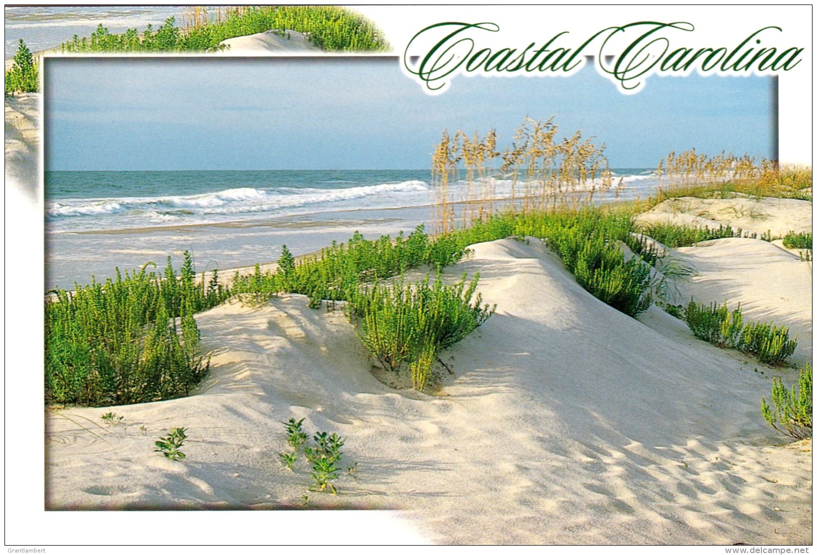 Coastal Carolina, USA Unused - Other & Unclassified