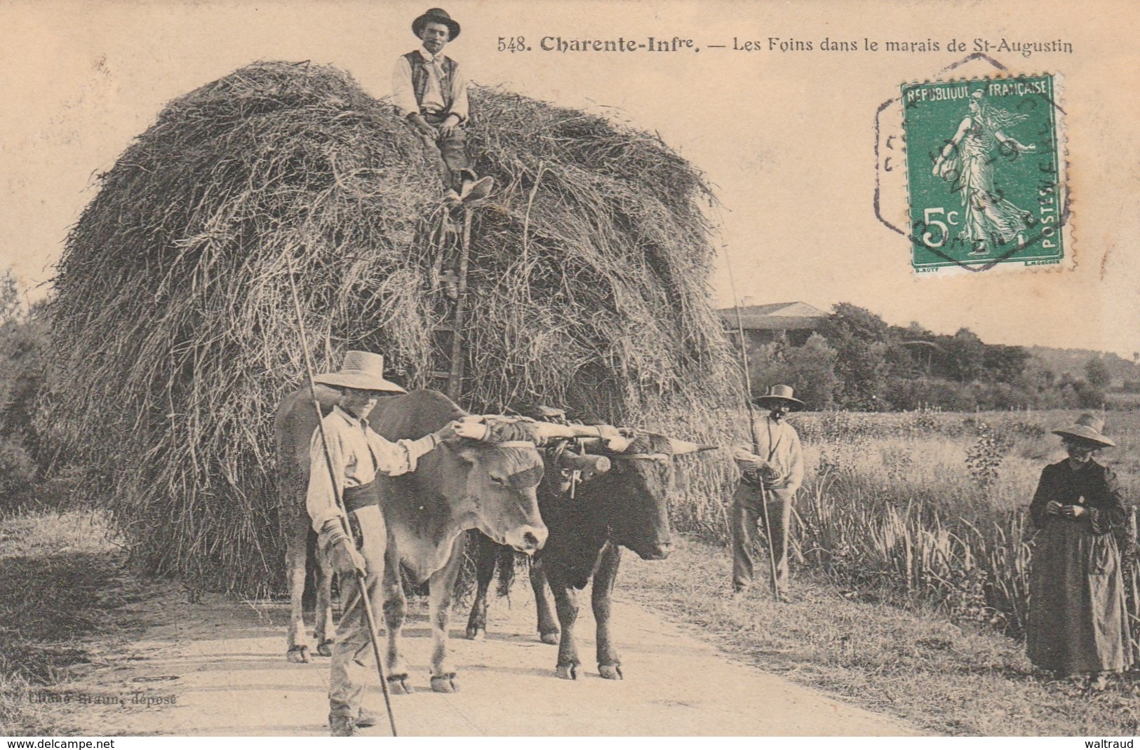 17--SAINT-AUGUSTIN--LES FOINS DANS LES MARAIS--TBE--VOIR SCANNER - Altri & Non Classificati