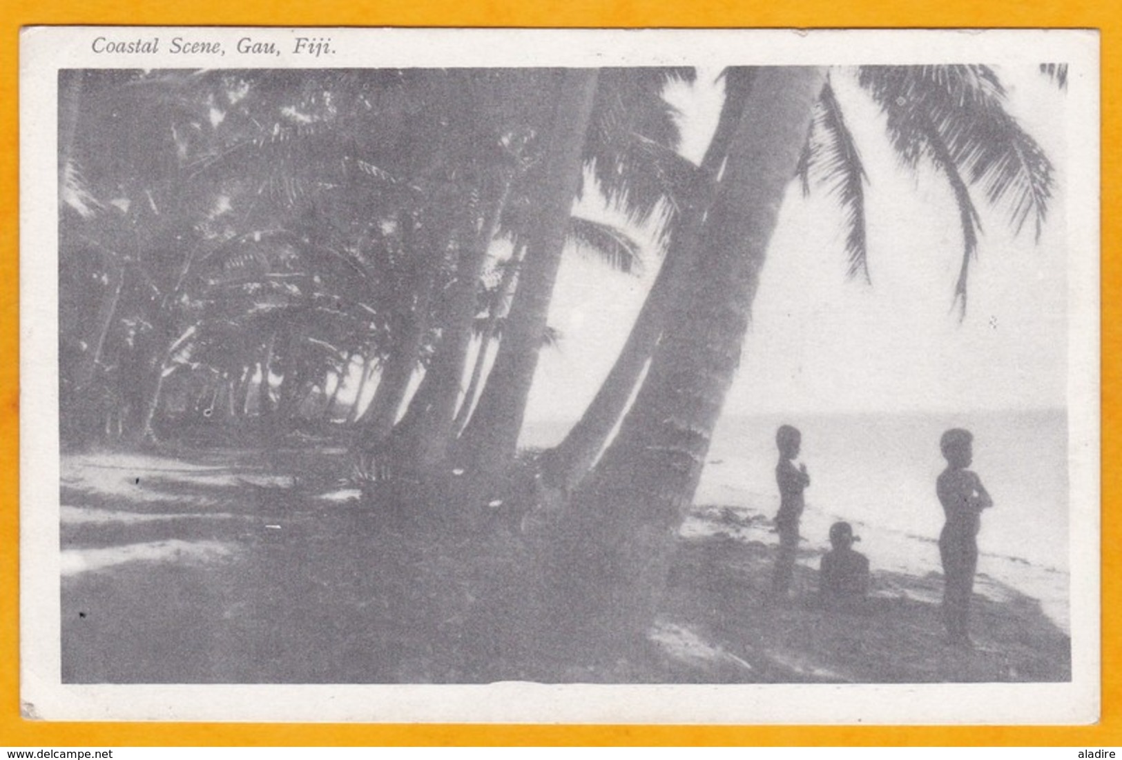 1958 - CP Photo De Suva, Fiji, GB Vers Chicago, USA - Affrt 1 Sh Pêche Au Lamparo - Vue La Côte à Gau - Fidschi-Inseln (...-1970)