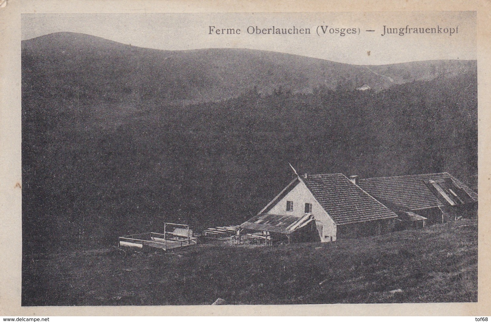 Linthal Ferme Oberlauchen Jungfrauenkopf - Autres & Non Classés