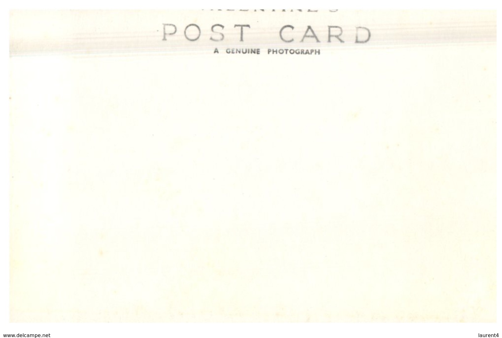 (PF 500) Australia (older Black And White Postcard 1950's Or Before) - NSW  - Murray River In Albury - Albury