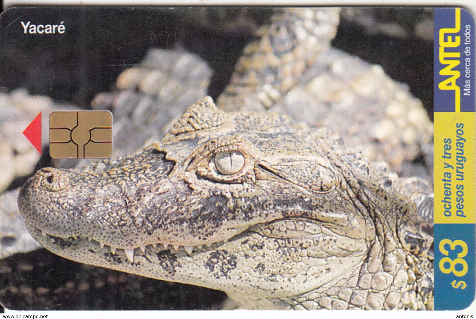 URUGUAY - Crocodile, Yacare(86a), 09/99, Used - Uruguay