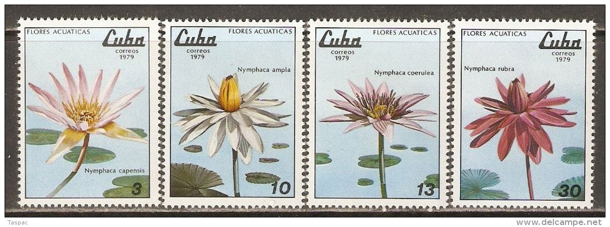 1979 Mi# 2379-2382 ** MNH - Marine Flora - Nuevos