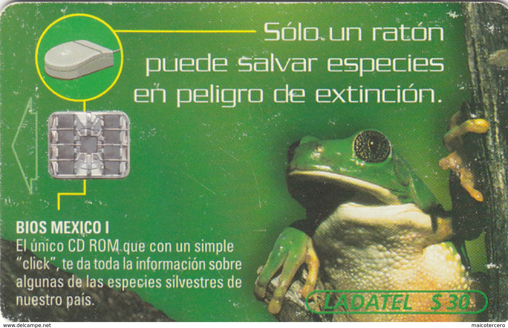 Mexico Phonecard LADATEL TELMEX GREEN FROG  No Credit Good Condition - Mexico