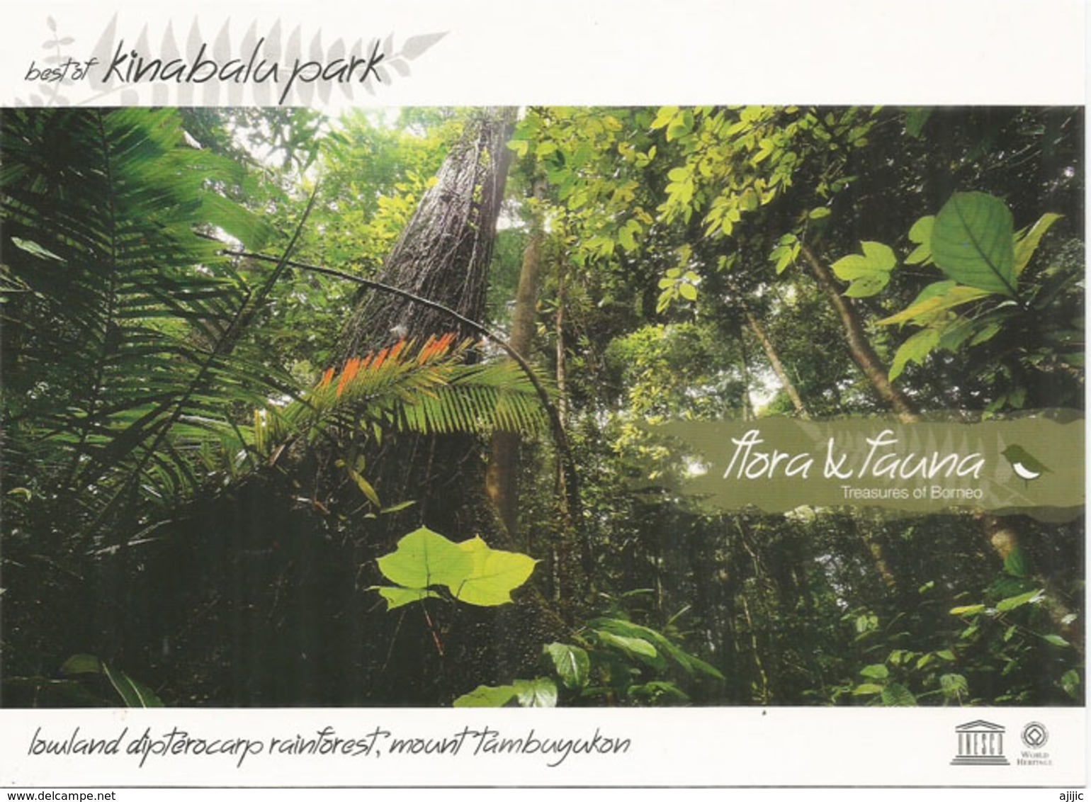 UNESCO WORLD HERITAGE. Mt Kinabalu , Lowland Dipterocarp Forests | WWF. Mint Uncirculated Postcard - Malasia