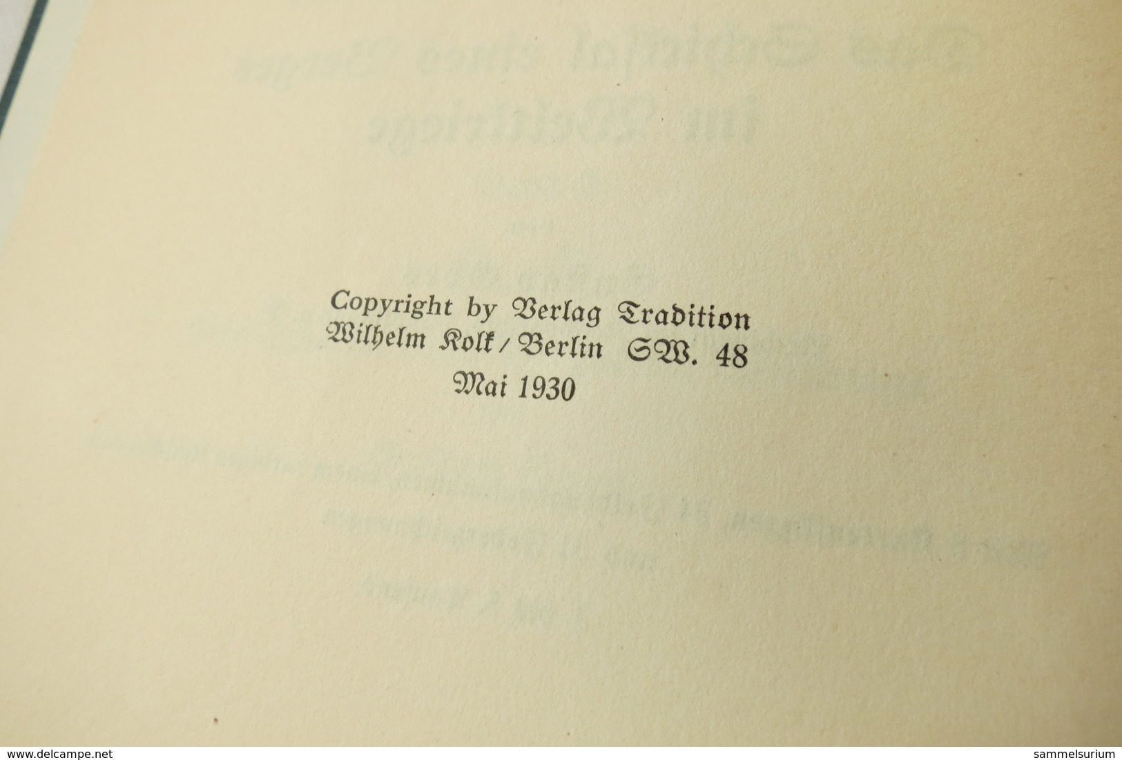 Gustav Goes "Das Schicksal Eines Berges Im Weltkriege", Band 2 Aus Der Reihe "Unter Dem Stahlhelm" Von 1930 - Police & Militaire