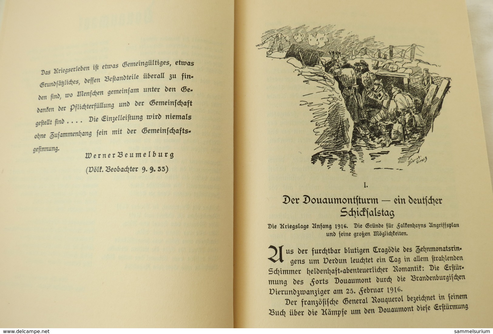 Cordt v. Brandis "Die Stürmer vom Douaumont", Band 7 aus der Reihe "Unter dem Stahlhelm" von 1934