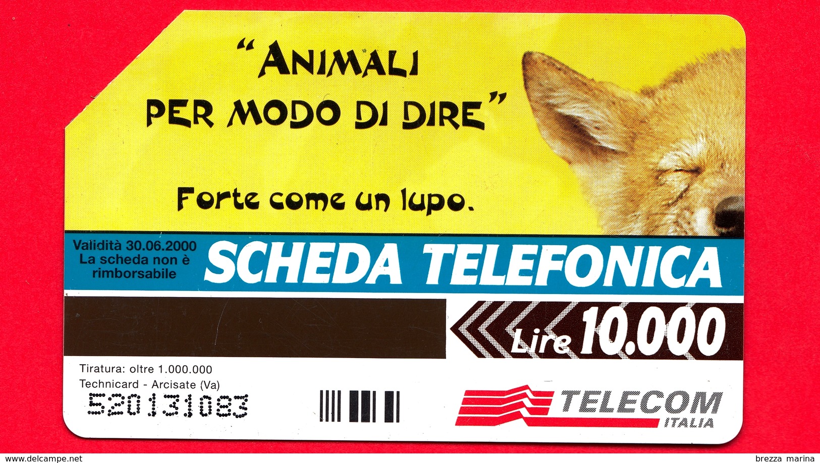 ITALIA - Scheda Telefonica - Telecom - Animali ... - Lupetto - Golden 840 - C&C 2910 - 10.000 Ocr 20 - Pubbliche Ordinarie