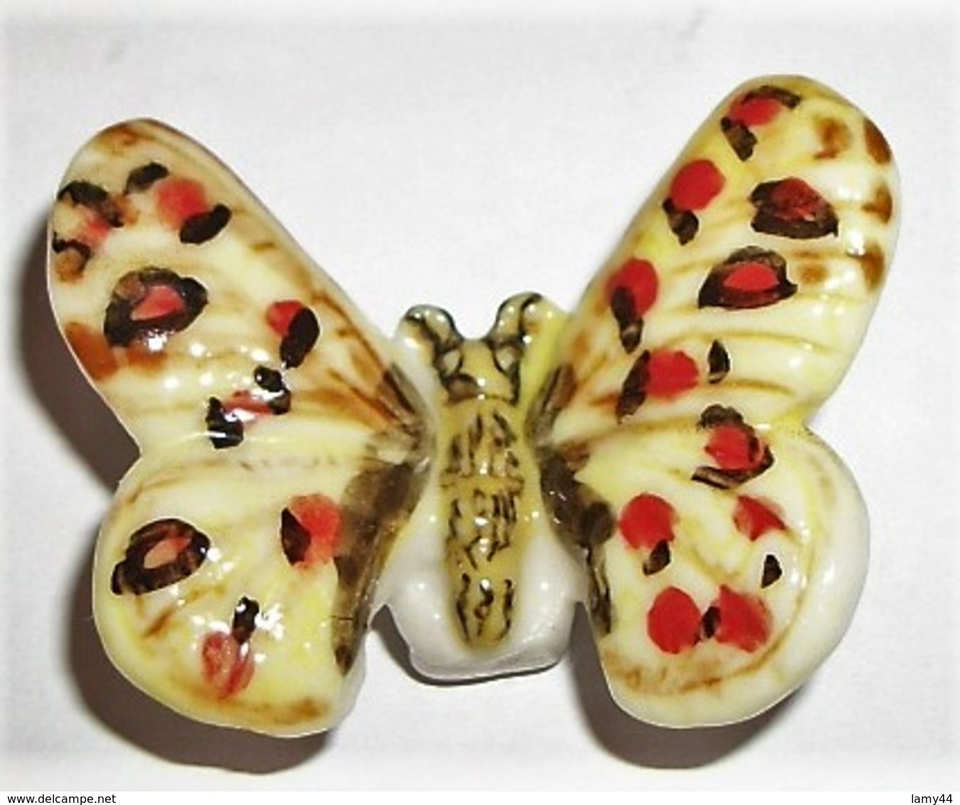 Papillon Turkestan (CE) - Animals