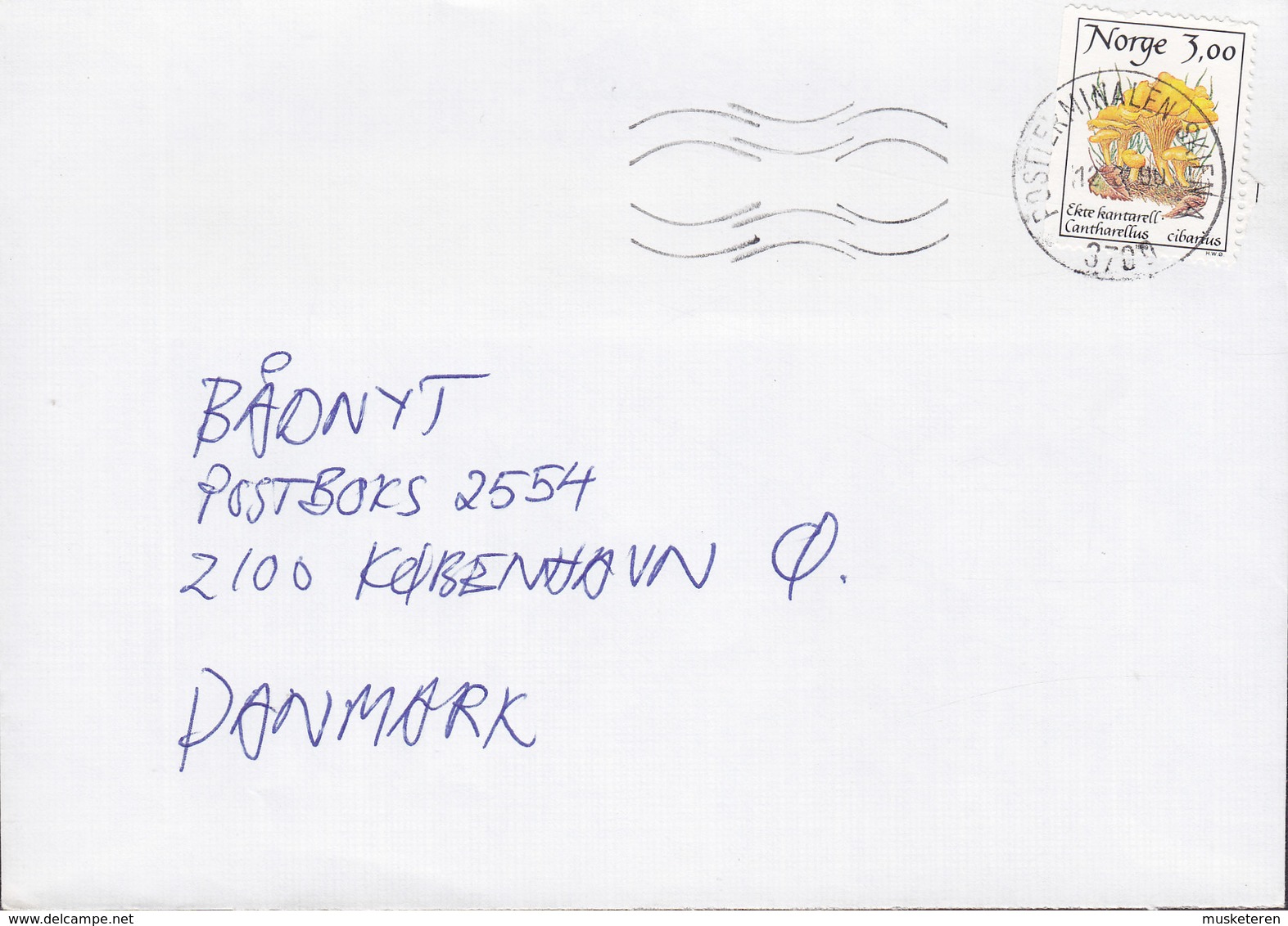 Norway Postterminalen SKIEN 1990 Cover Brief Denmark Pilze Mushroom Stamp - Briefe U. Dokumente