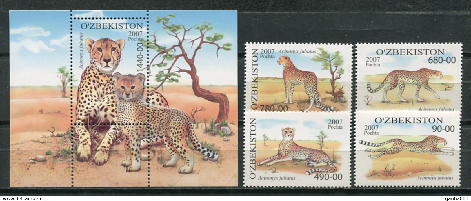 Uzbekistan 2007 / Fauna Mammals Big Cats Cheetahs MNH Mamíferos Felinos Säugetiere / Cu8225  30-3 - Felinos