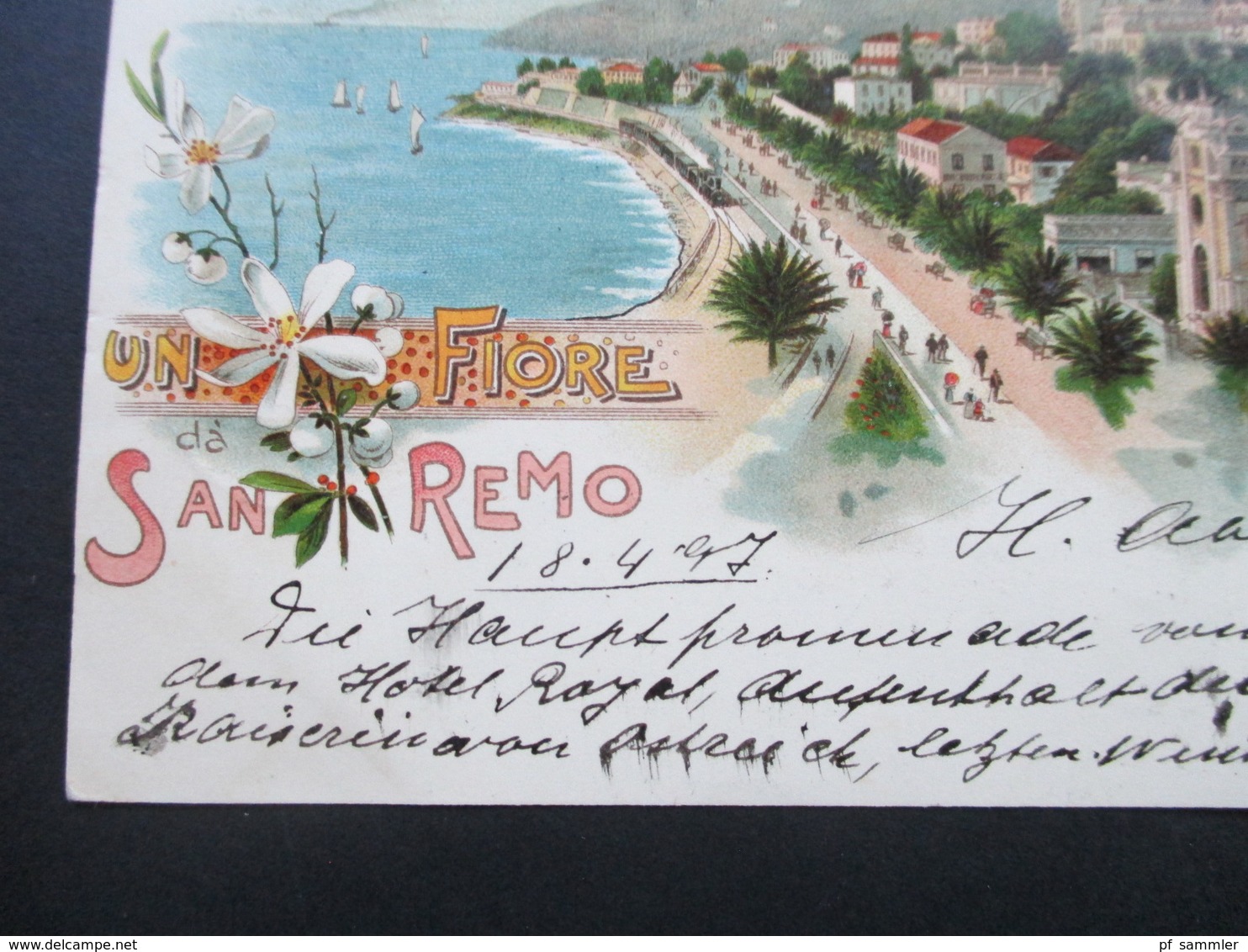 Un Fiore Da San Remo 1899 Hotel Royal. Nach Metzeral Elsass Mit AK Stempel. Stamp Louis Glaser, Leipzig - Hotel's & Restaurants