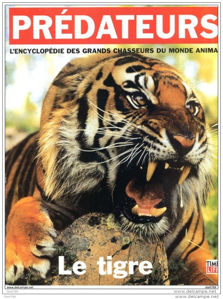 Prédateurs LE TIGRE L Encyclopédie Des Grands Chasseurs Du Monde Animal Animaux Félin - Animaux