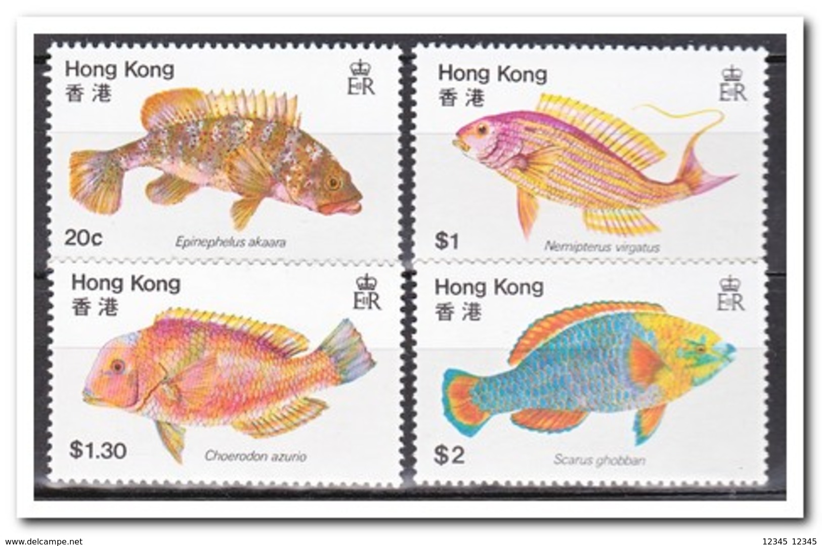 Hong Kong 1981, Postfris MNH, Fish - Andere & Zonder Classificatie