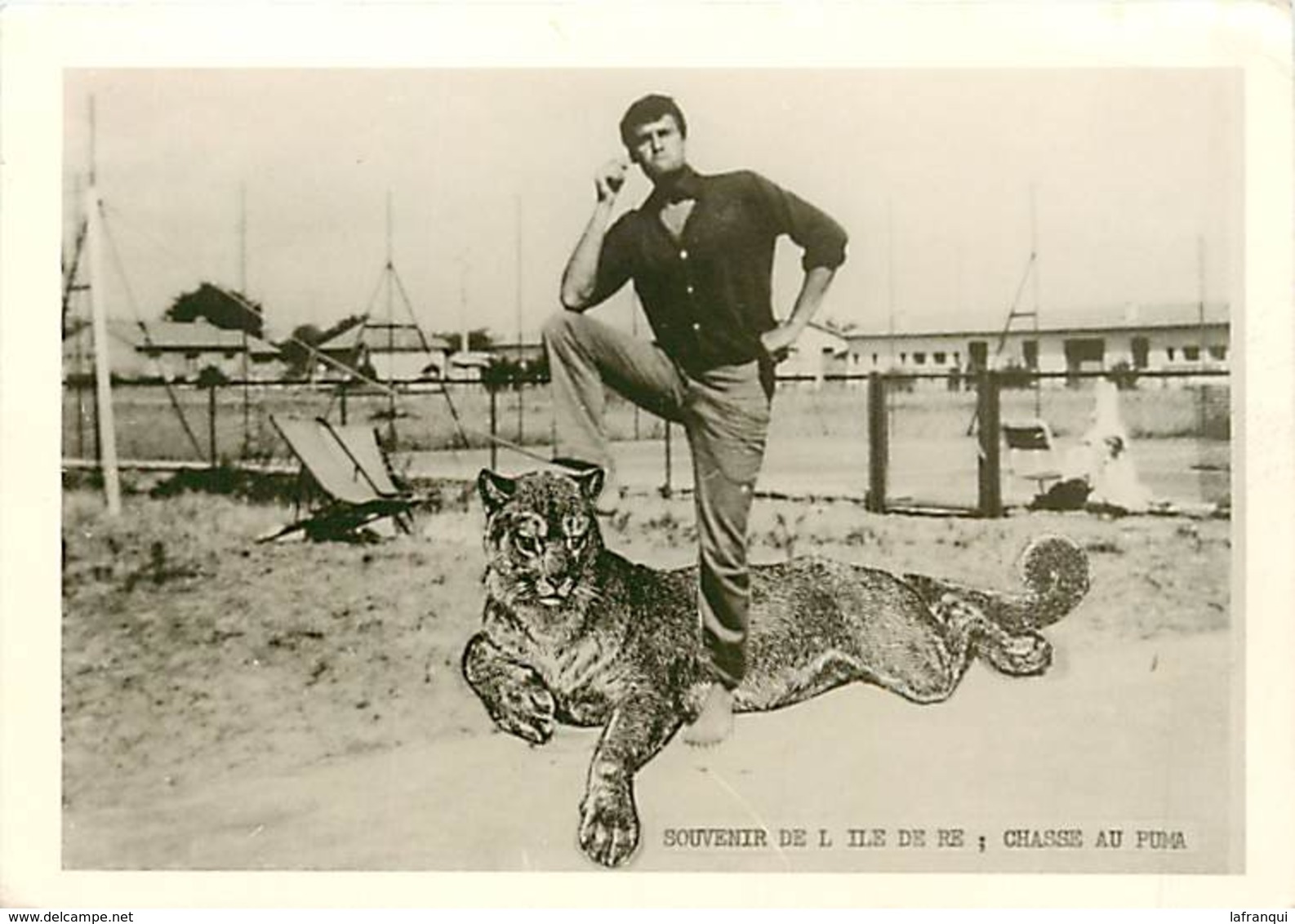 Ref 39- Charente Maritime - Ile De Ré - Photo Souple 13cms X 9cms - Chasse Au Puma - Photo Bon Etat  - - Ile De Ré