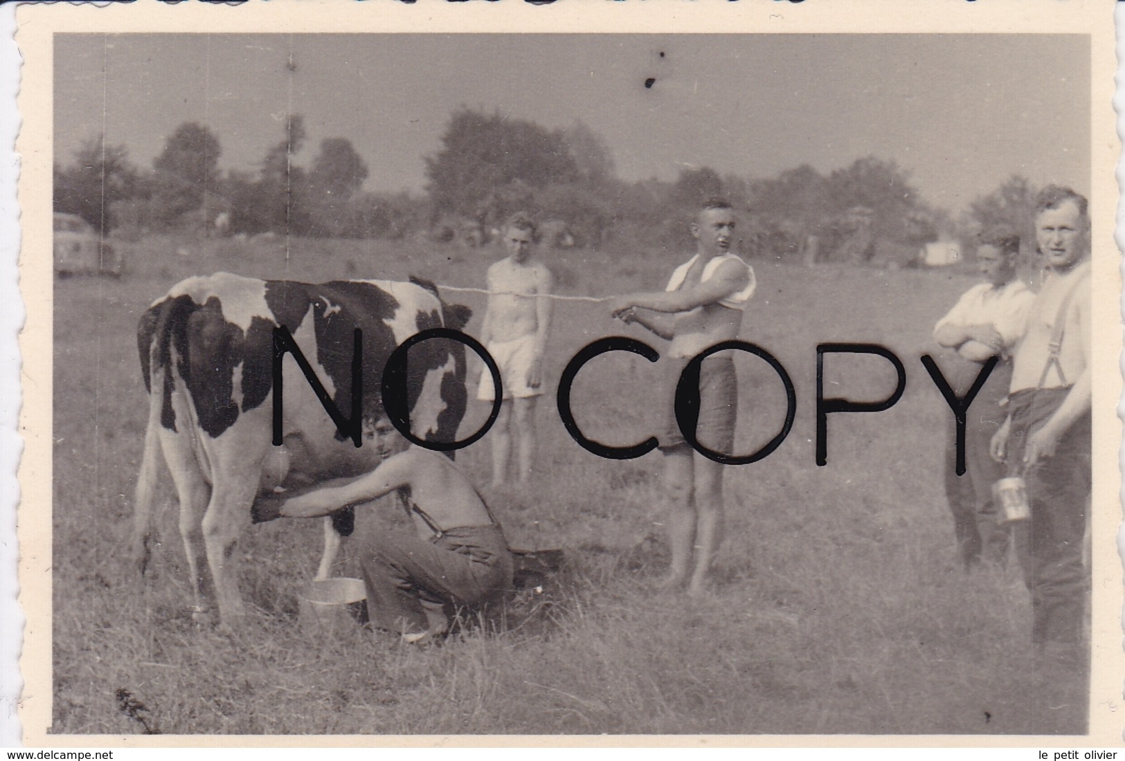 PHOTO ORIGINALE 39 / 45 WW2 WEHRMACHT FRANCE BRETAGNE 1940 UN PEU DE LAIT POUR LES SOLDATS ALLEMANDS - Guerre, Militaire