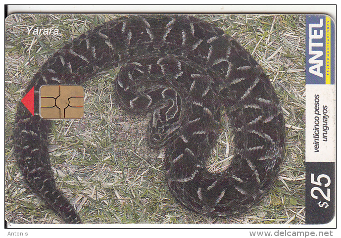 URUGUAY - Snake, Yarara(341a), 08/04, Used - Uruguay