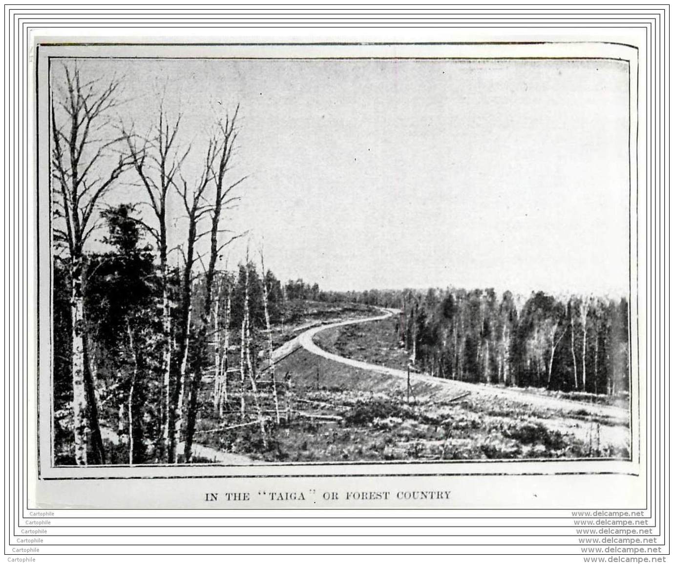 Press Photo - Russia - The Great Siberian Railroad In 1903 - In The Taiga Or Forest Country - Lieux