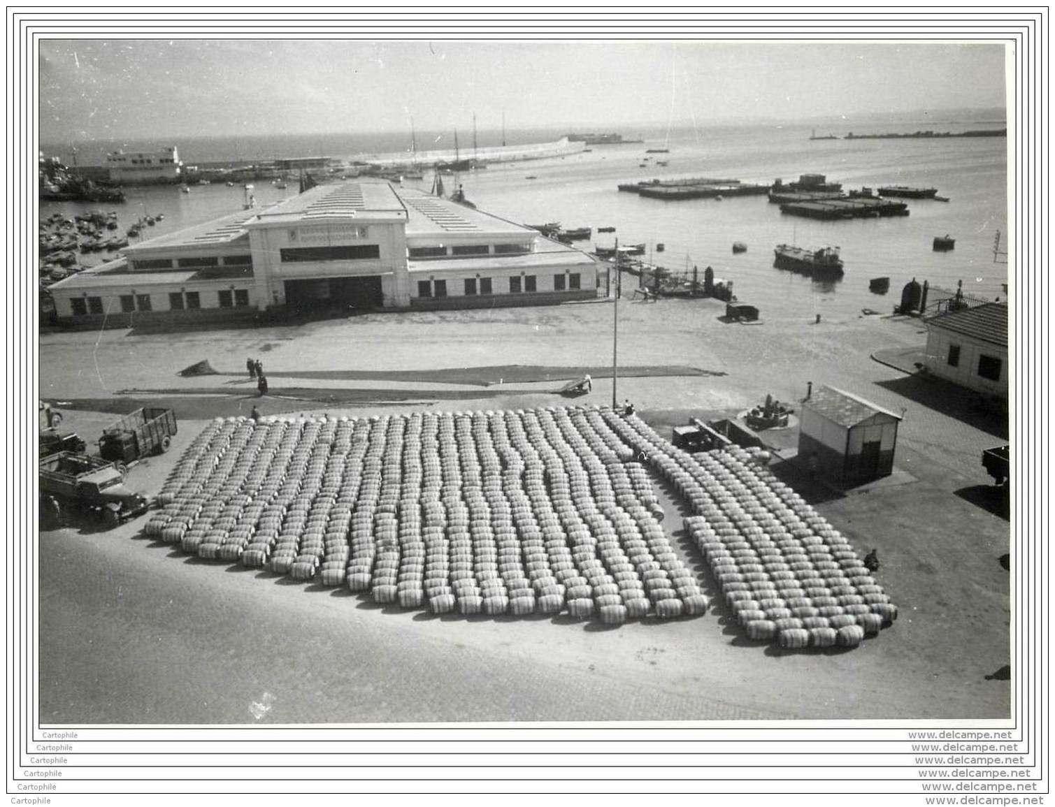 Press Photo - ALGERIE - Alger - Vue D'une Partie Du Port D'Alger, L'un Des Plus Importants De La Mediterranee - Lieux