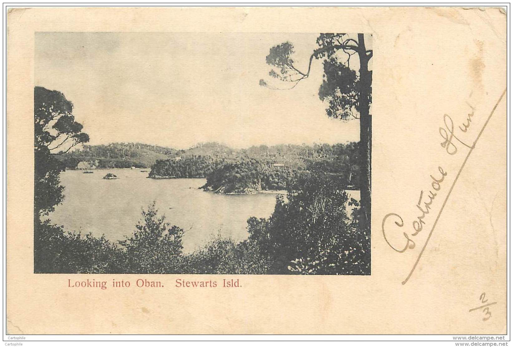 New Zealand - Stewarts Island - Looking Into Oban - Nuova Zelanda