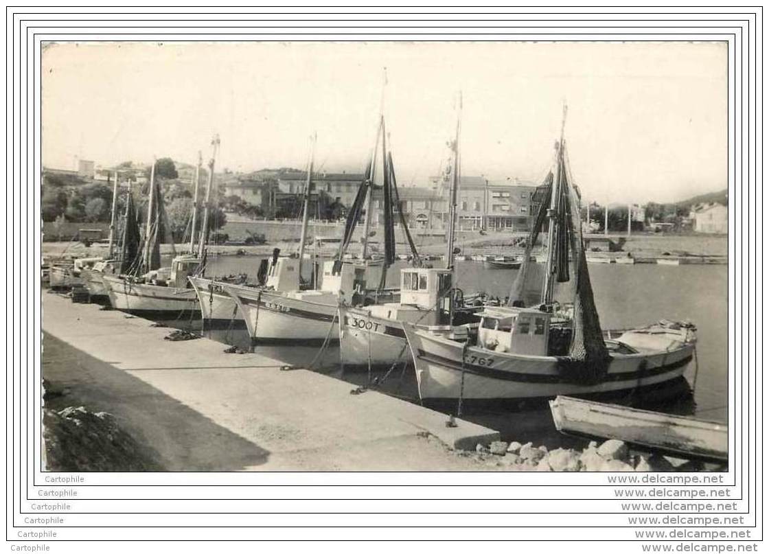 83 - CARQUEIRANNE - La Flotille De Peche Au Port Des Salettes (cpsm 9x14) - Carqueiranne