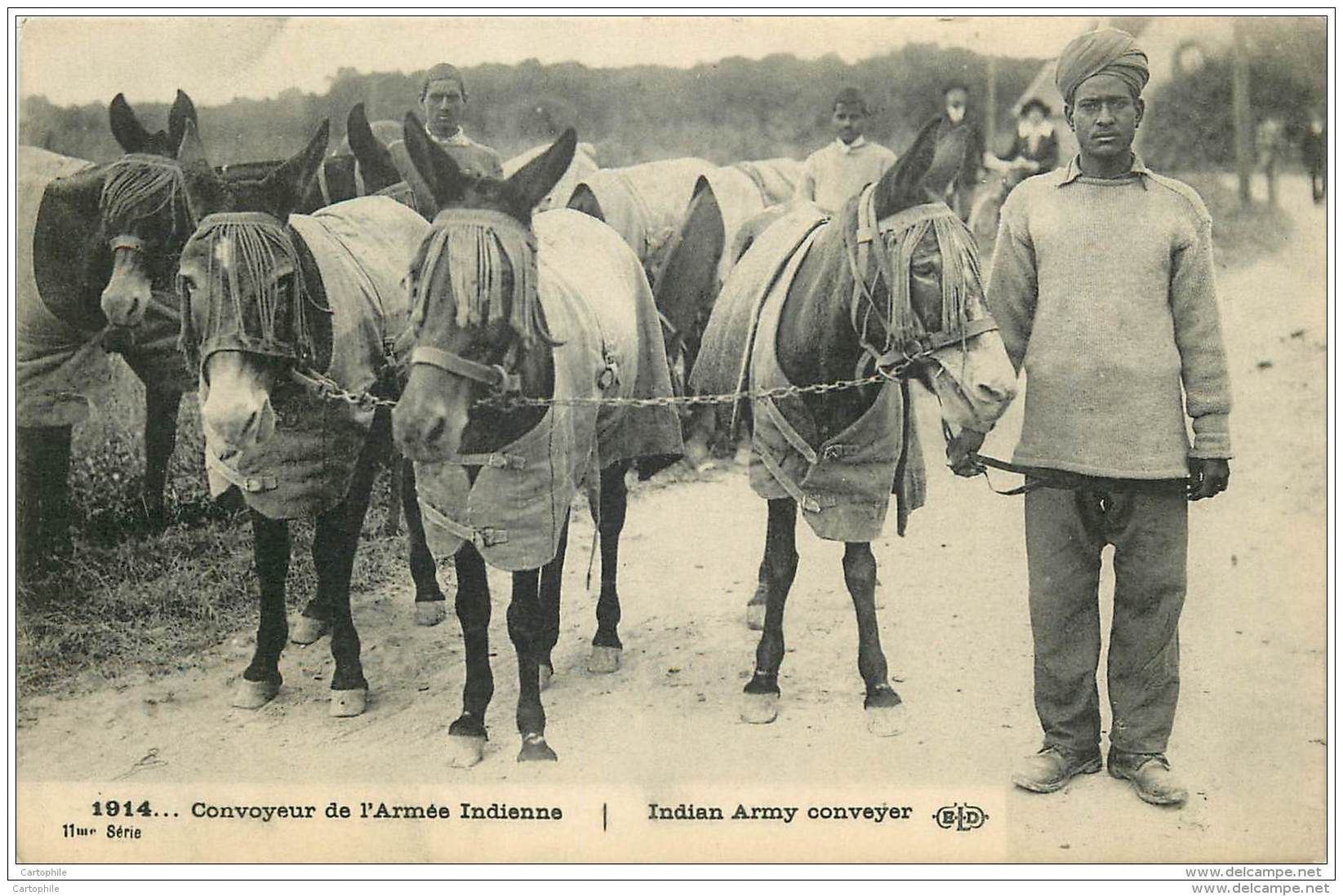 Militaria - India Army - Convoyeur Indien - War 1914 - Guerre 1914-18