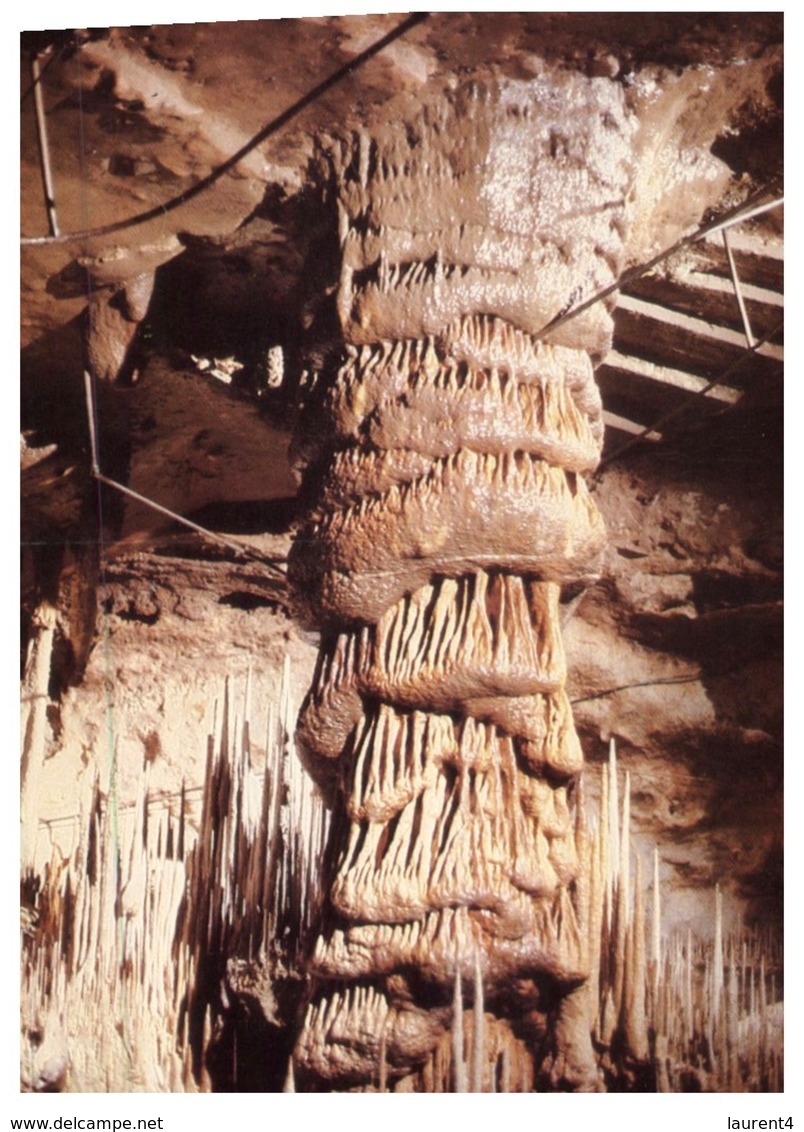 (300) Australia - Sa - Mount Gambier Caves - Mt.Gambier