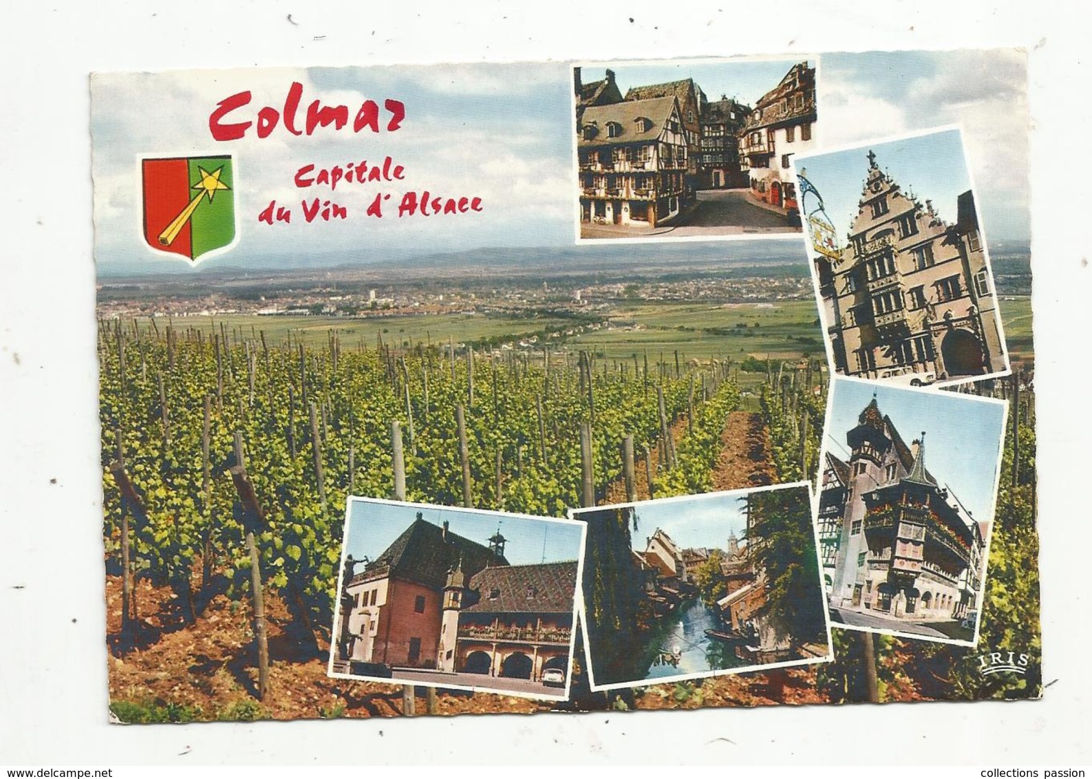 Cp , Agriculture ,vignes , 68 , COLMAR , Capitale Du Vin D'Alsace , Multi Vues ,écrite , Ed. La Cigogne - Wijnbouw