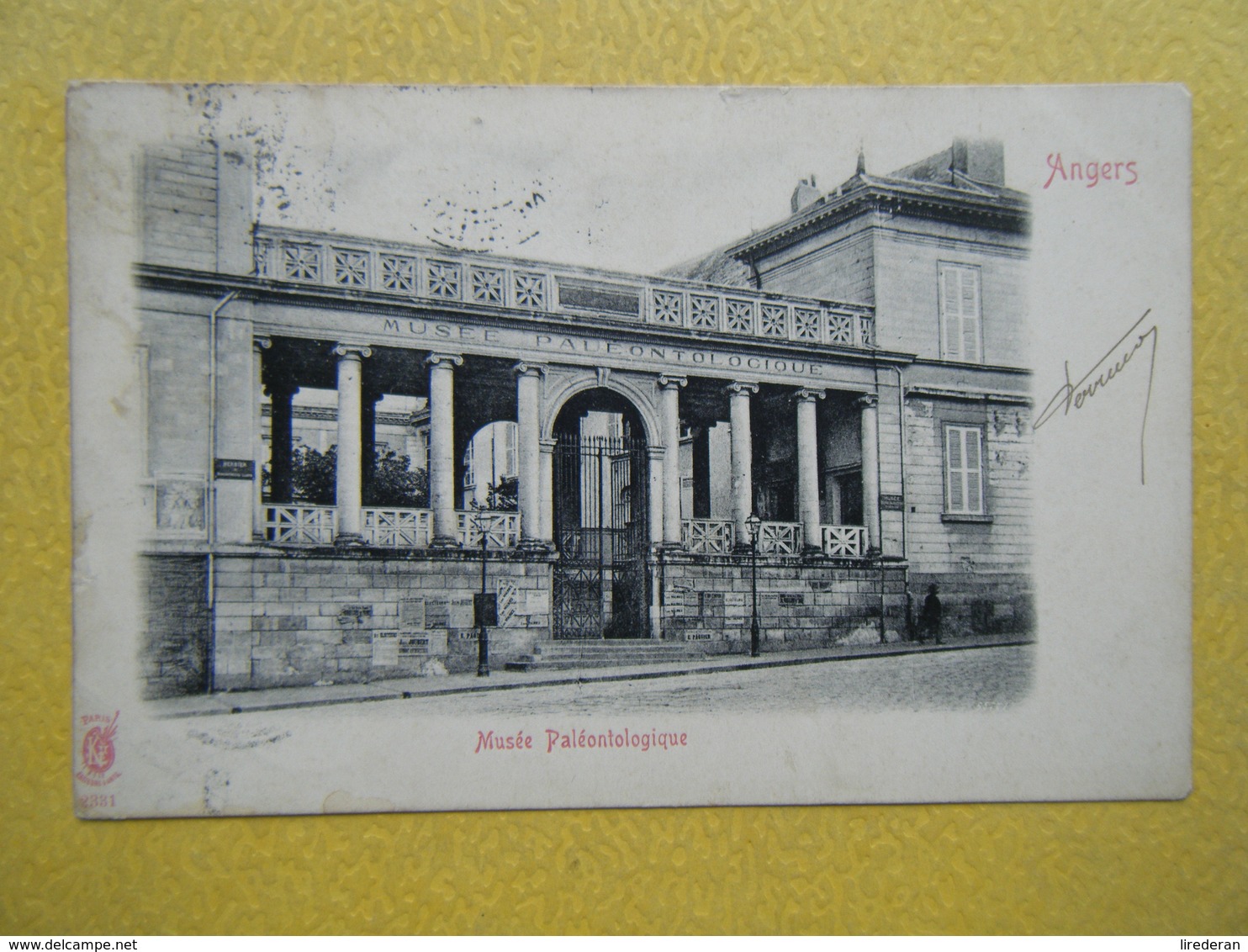 ANGERS. Le Musée Paléontologique. - Angers