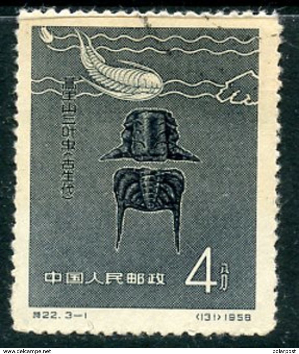 Y85 CHINA 1958 369 Chinese Fossils - Usati