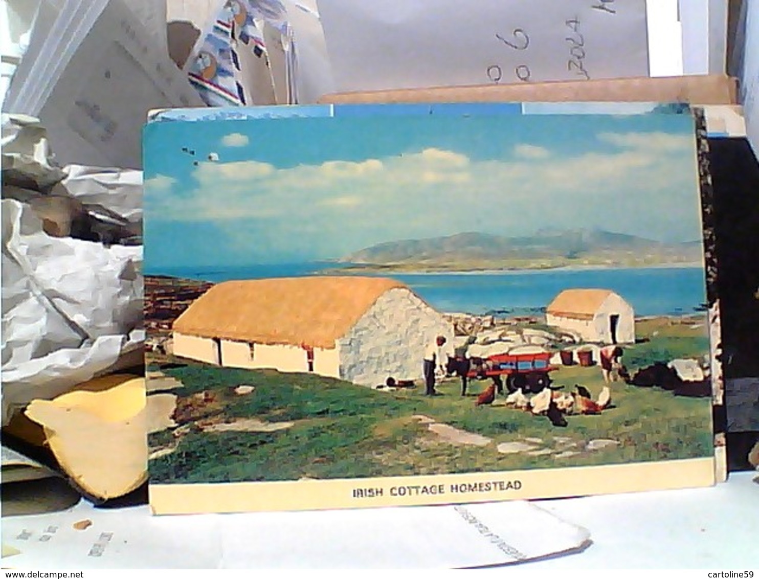 EIRE IRELAND IRISH COTTAGE HOMESTEAD  VB1977 GS1369 - Altri & Non Classificati