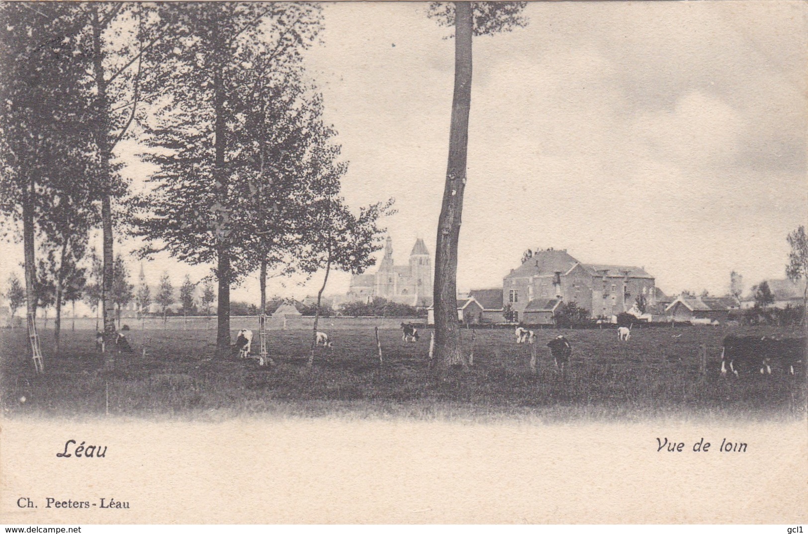 Zoutleeuw - Vue De Loin - Zoutleeuw