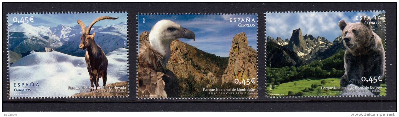 4.- SPAIN ESPAGNE 2010 NATURAL PARKS - BEAR - VULTURE - MOUNTAIN GOAT - Ongebruikt