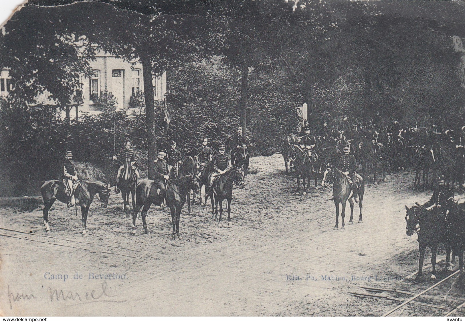 BEVERLOO / CAMP / CAVALERIE - Leopoldsburg (Camp De Beverloo)