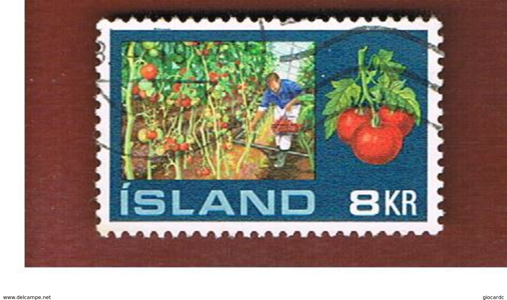 ISLANDA (ICELAND)  -  SG 496 - 1972   TOMATOES                               -   USED - Usati