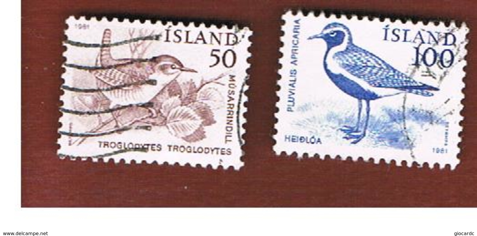 ISLANDA (ICELAND)  -  SG 598.599  - 1981  BIRDS               -   USED - Usati