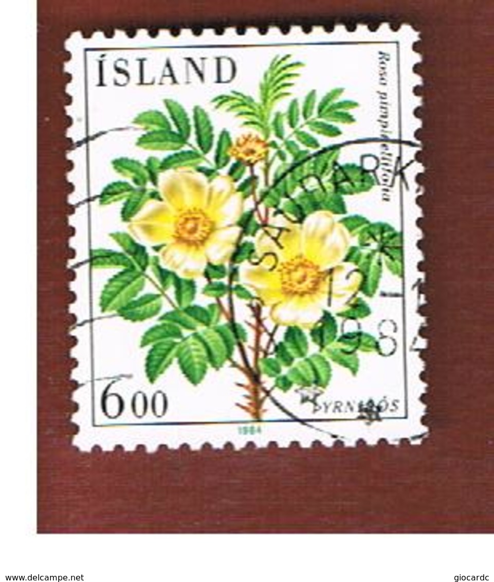 ISLANDA (ICELAND)  -  SG 641 - 1984 FLOWERS       -   USED - Usati