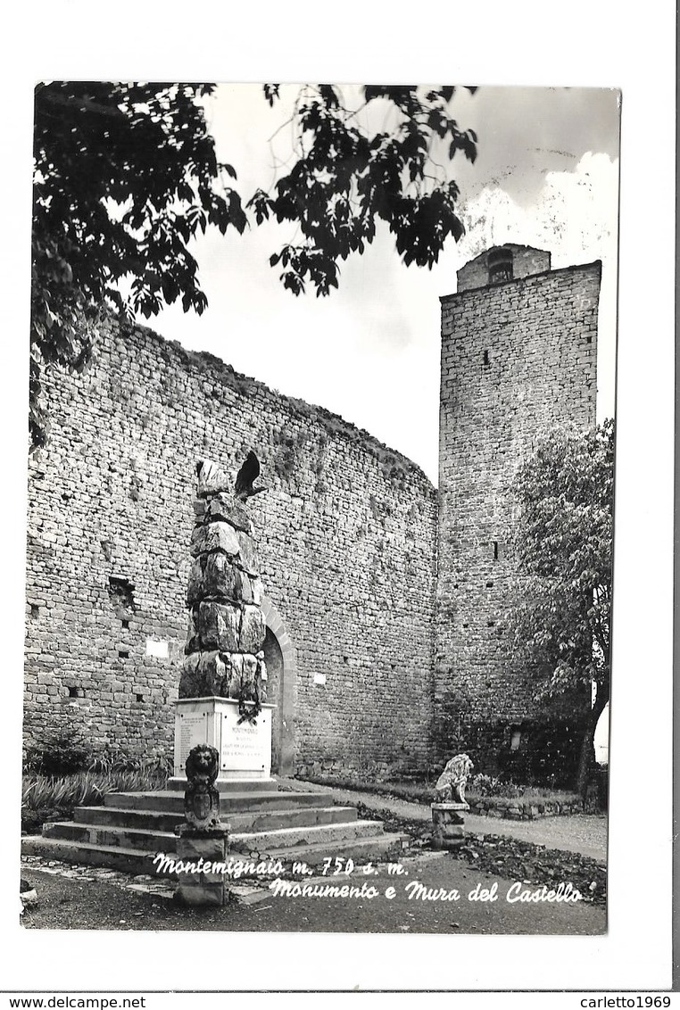 MONTEMIGNAIO - MONUMENTO E MURA CASTELLO- VIAGGIATA FG - Arezzo