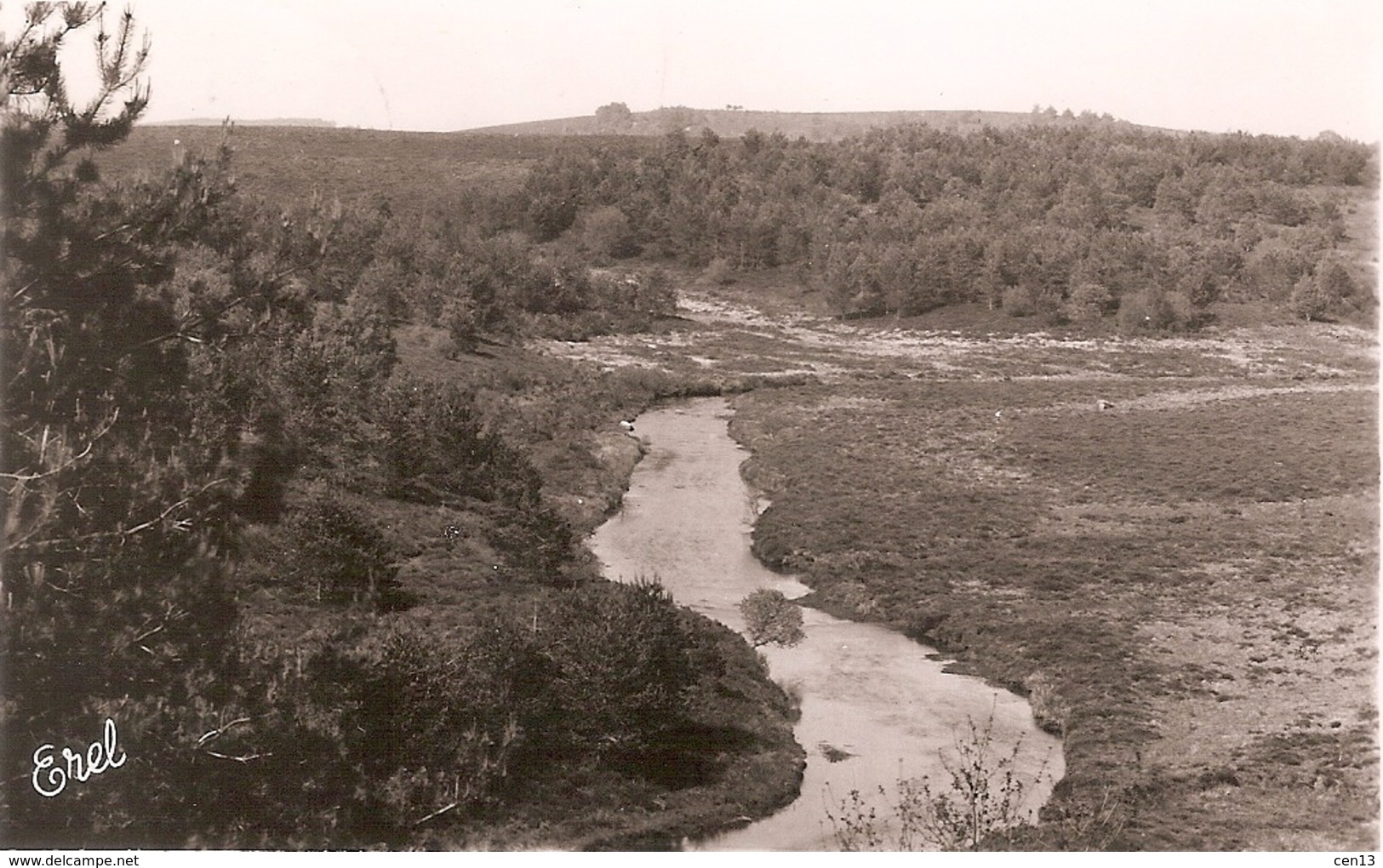 19 - La Vézére Aux Environs De Bugeat - La Corrèze Pittoresque - Autres & Non Classés