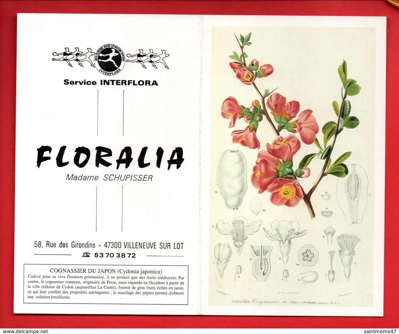 CALENDRIER 1994. MAGASIN DE FLEURS " FLORALIA " RUE DES GIRONDINS VILLENEUVE-SUR-LOT COGNASSIER DU JAPON - Réf. N°9801 - - Formato Piccolo : 1991-00