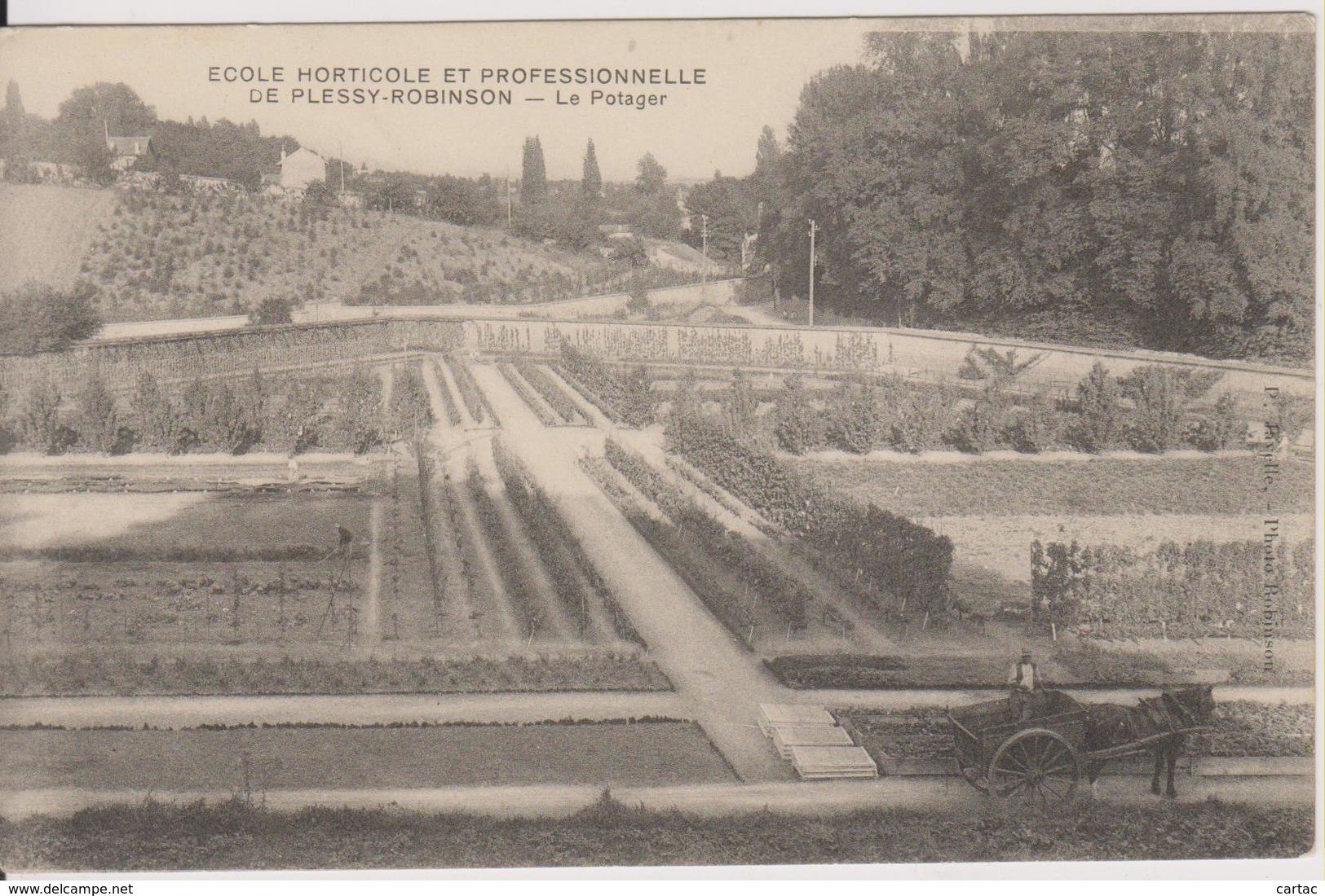 D92 - LE PLESSIS ROBINSON - ECOLE HORTICOLE ET PROFESSIONNELLE - LE POTAGER - (TOMBEREAU AVEC UN CHEVAL NOIR) - Le Plessis Robinson