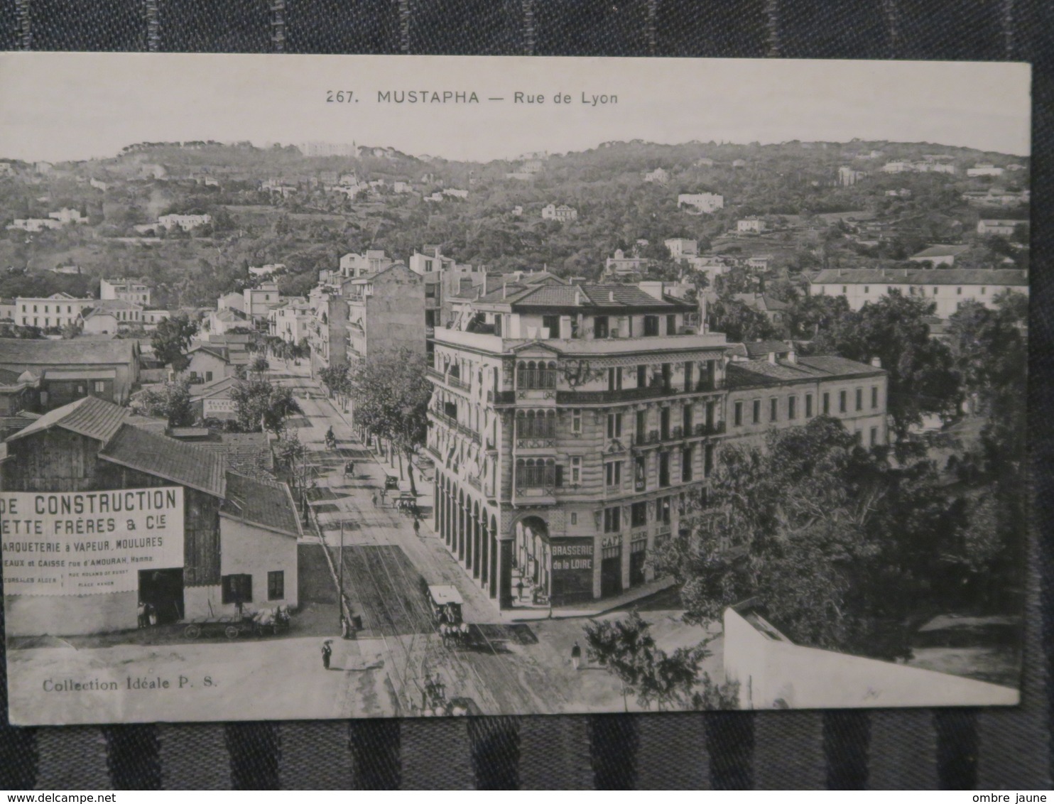 BZ - Algerie - ALGER - Lot De 4 Cartes - Theme Mustapha - Rue De Lyon - Boulevard Bru - Entrée Palais Vue Générale - Algiers