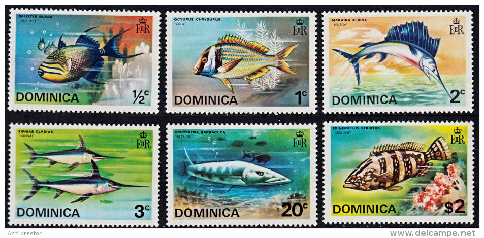 B0013 DOMINICA 1975, SG 452-7  Fish,  MNH - Dominica (1978-...)