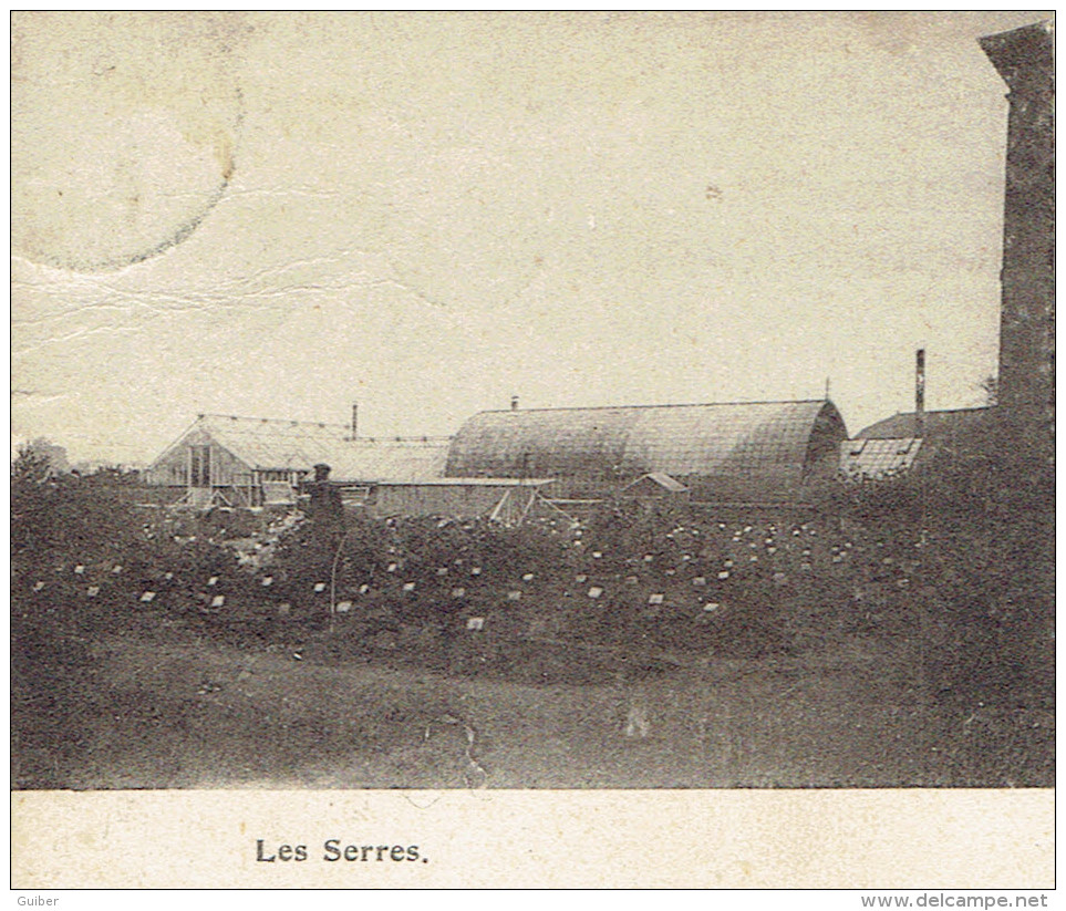 Gembloux Institut Agricole De L'etat ,les Serres  Edit.berce N°41 - Gembloux