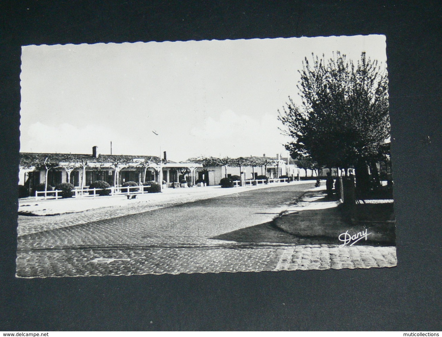 PESSAC L ALOUETTE    1950   /      RUE    ... EDIT - Pessac