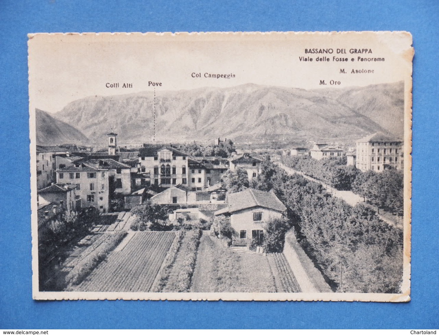 Cartolina Bassano Del Grappa - Vialle Delle Fosse E Panorama - 1940 - Vicenza