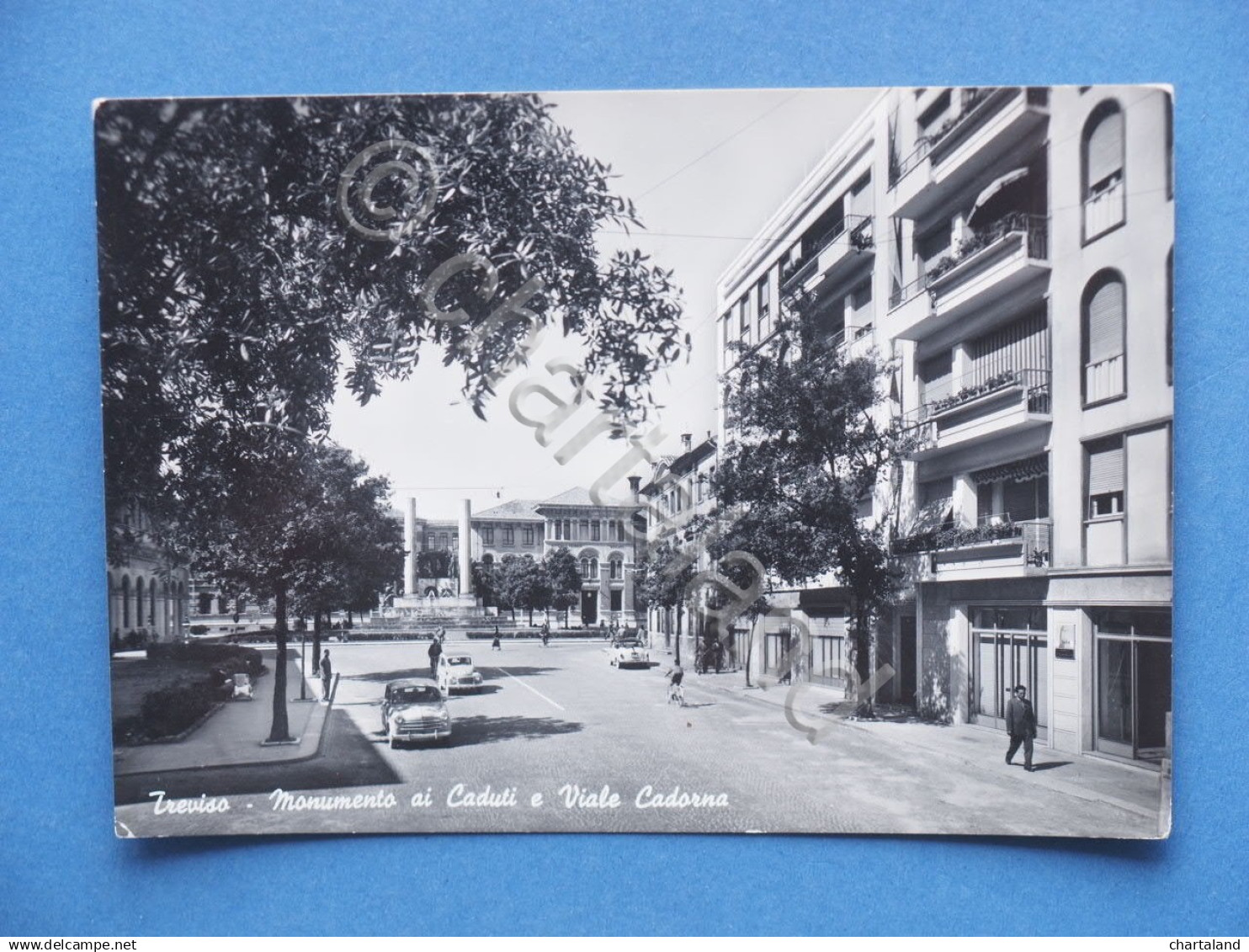 Cartolina Treviso - Monumento Ai Caduti E Viale Cadorna - 1957 - Treviso