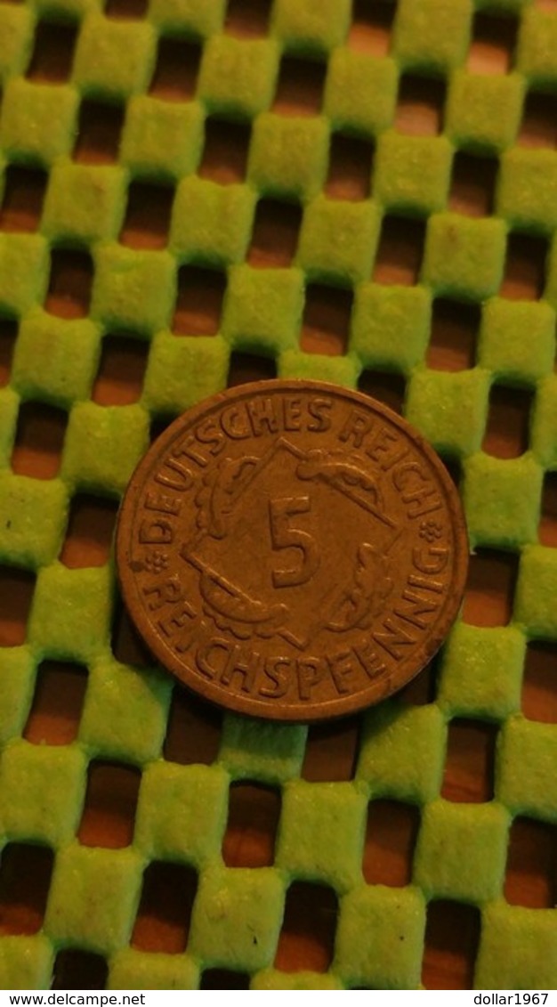 5 Reichspfennig 1924-1936 - (Mess) 1936 D - 5 Reichspfennig
