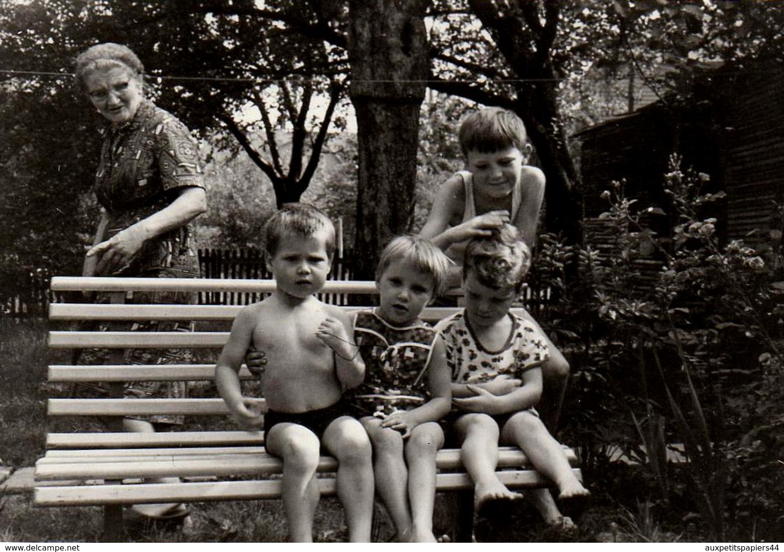 Photo Originale La Vie Du Banc - Tatie Danielle Et Ses Petits Enfants Au Jardin En 1969 - Personnes Anonymes