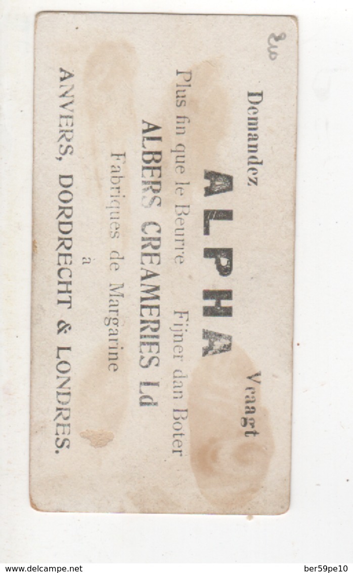 CHROMO   ALPHA FABRIQUES DE MARGARINE A ANVERS DORDRECHT & LONDRES SIEGEDANKOPFERDER AFTEN GERMANEN - Autres & Non Classés